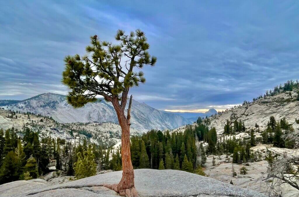 Chilly nights & Yosemite National park