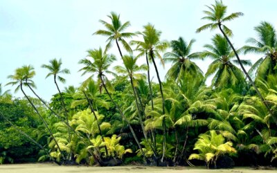 Uvita & Osa Peninsular